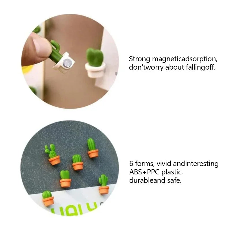 3D Succulent Fridge Magnet Set (6pcs)