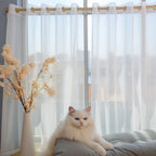 White Sheer Curtains